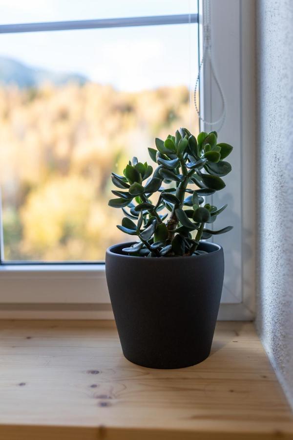 Vila Vlasta Apt. #401 Vysoké Tatry Dış mekan fotoğraf