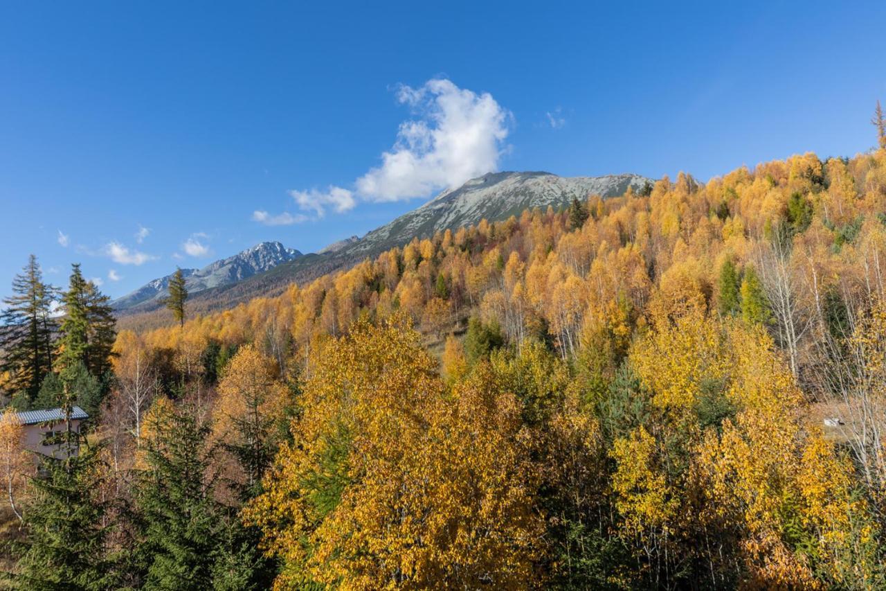 Vila Vlasta Apt. #401 Vysoké Tatry Dış mekan fotoğraf